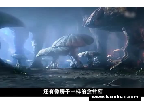 探索塞飞亚：一个神秘世界的奇迹与谜团