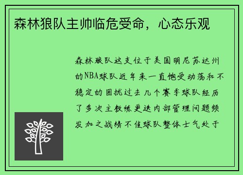 森林狼队主帅临危受命，心态乐观